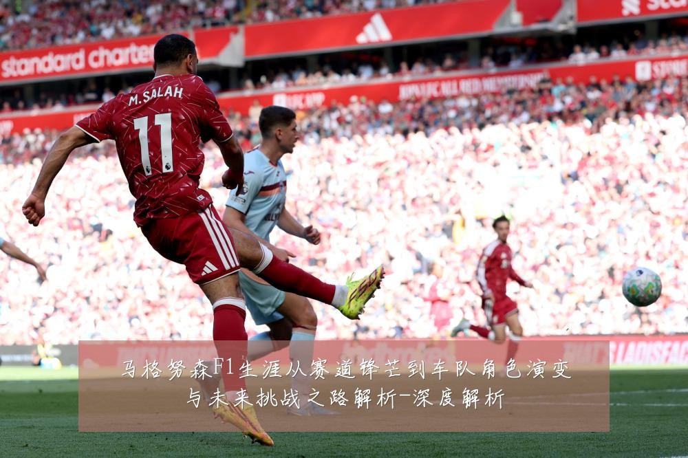 马格努森F1生涯从赛道锋芒到车队角色演变与未来挑战之路解析-深度解析