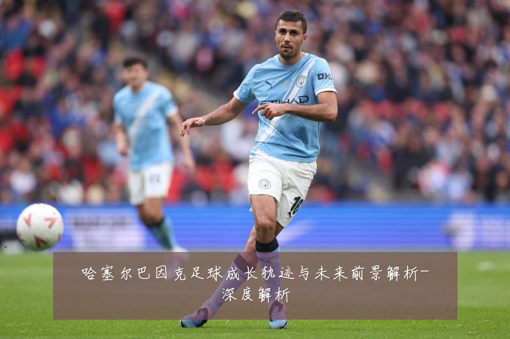 哈塞尔巴因克足球成长轨迹与未来前景解析-深度解析
